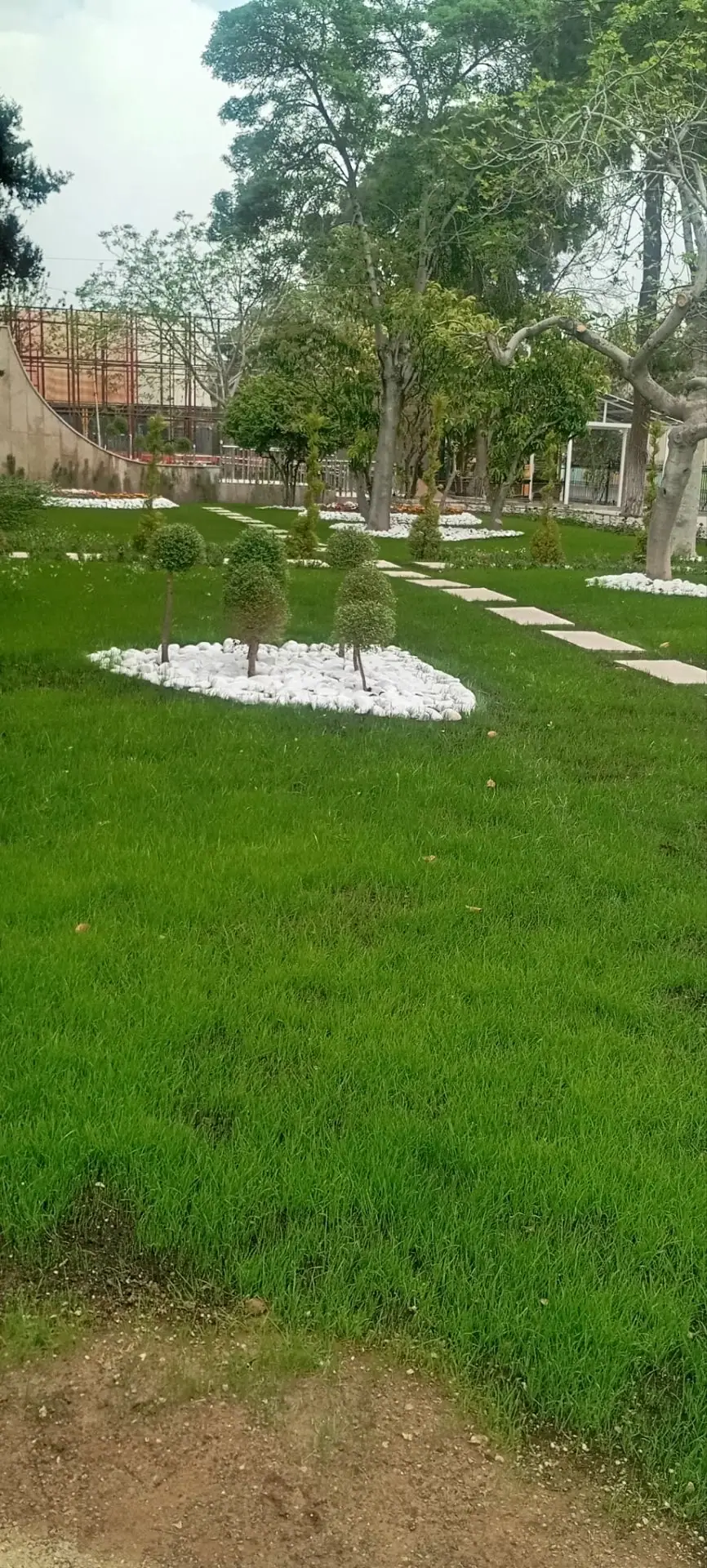 چمن تازه با درختچه‌های تزئینی و باغچهٔ سنگ سفید