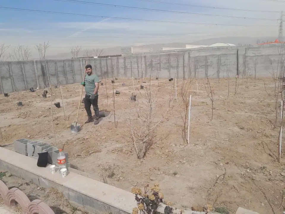 باغبان در زمین آماده‌شده برای کاشت نهال در یک فضای باز